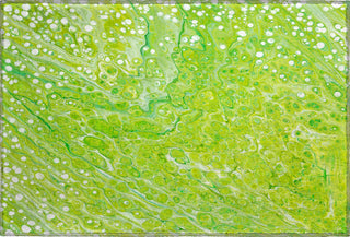 Piper Looms Mayfield Abstract AMF50 Clover Machine Washable Area Rug Scatter Main Image