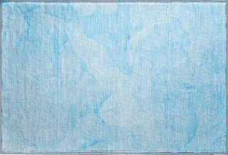Piper Looms Mayfield Watercolors AMF509 Blue Machine Washable Area Rug Scatter Main Image