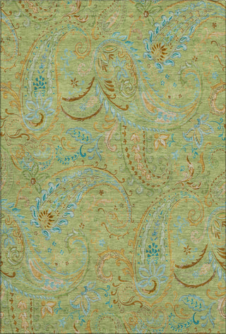 Piper Looms Mayfield Paisley AMF533 Aloe Machine Washable Area Rug main image