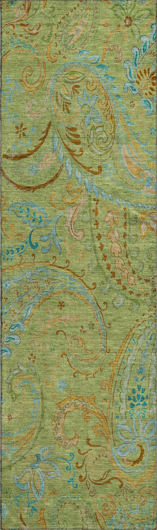 Piper Looms Mayfield Paisley AMF533 Aloe Machine Washable Area Rug Runner Main Image