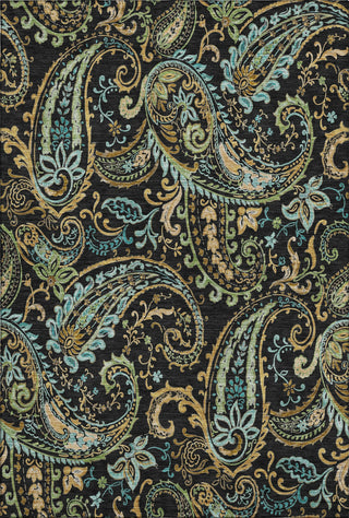 Piper Looms Mayfield Paisley AMF533 Black Machine Washable Area Rug main image