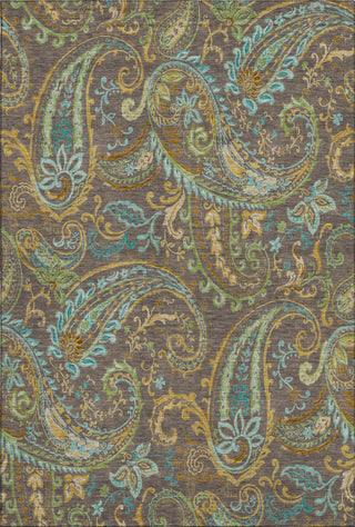 Piper Looms Mayfield Paisley AMF533 Chocolate Machine Washable Area Rug main image