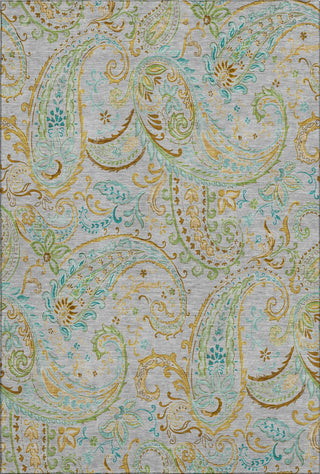 Piper Looms Mayfield Paisley AMF533 Gray Machine Washable Area Rug main image