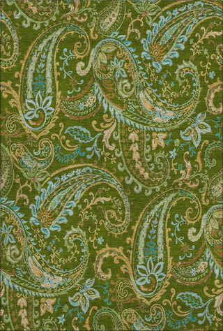 Piper Looms Mayfield Paisley AMF533 Green Machine Washable Area Rug main image