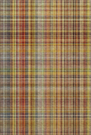 Piper Looms Mayfield Plaid AMF541 Paprika Machine Washable Area Rug main image