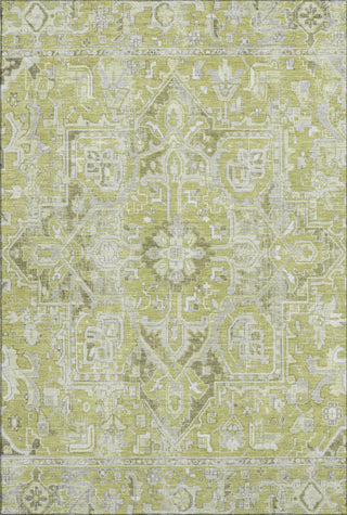 Piper Looms Mayfield Oriental AMF570 Aloe Machine Washable Area Rug main image