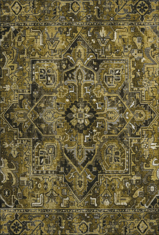 Piper Looms Mayfield Oriental AMF570 Brown Machine Washable Area Rug main image