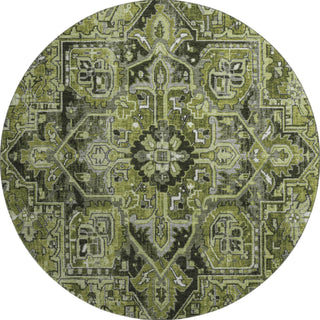 Piper Looms Mayfield Oriental AMF570 Olive Machine Washable Area Rug Round Main Image