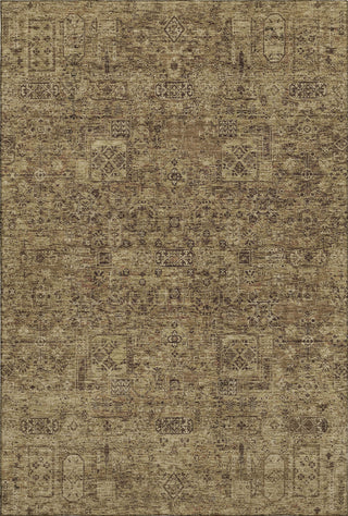 Piper Looms Mayfield Panel AMF611 Mocha Machine Washable Area Rug main image