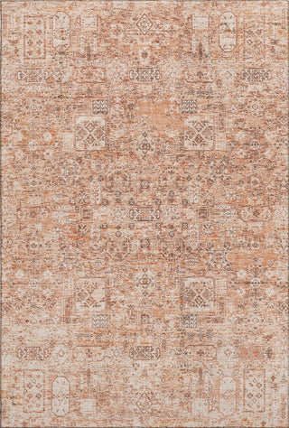 Piper Looms Mayfield Panel AMF611 Salmon Machine Washable Area Rug main image