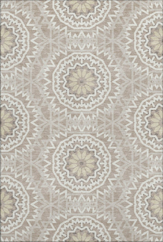 Piper Looms Mayfield Circles AMF619 Taupe Machine Washable Area Rug main image