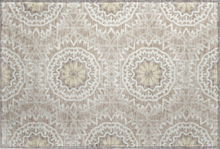 Piper Looms Mayfield Circles AMF619 Taupe Machine Washable Area Rug Scatter Main Image