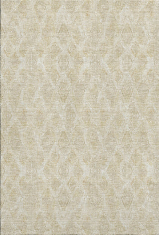 Piper Looms Mayfield Diamond AMF622 Beige Machine Washable Area Rug main image