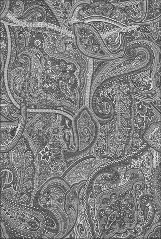 Piper Looms Mayfield Paisley AMF623 Gray Machine Washable Area Rug main image