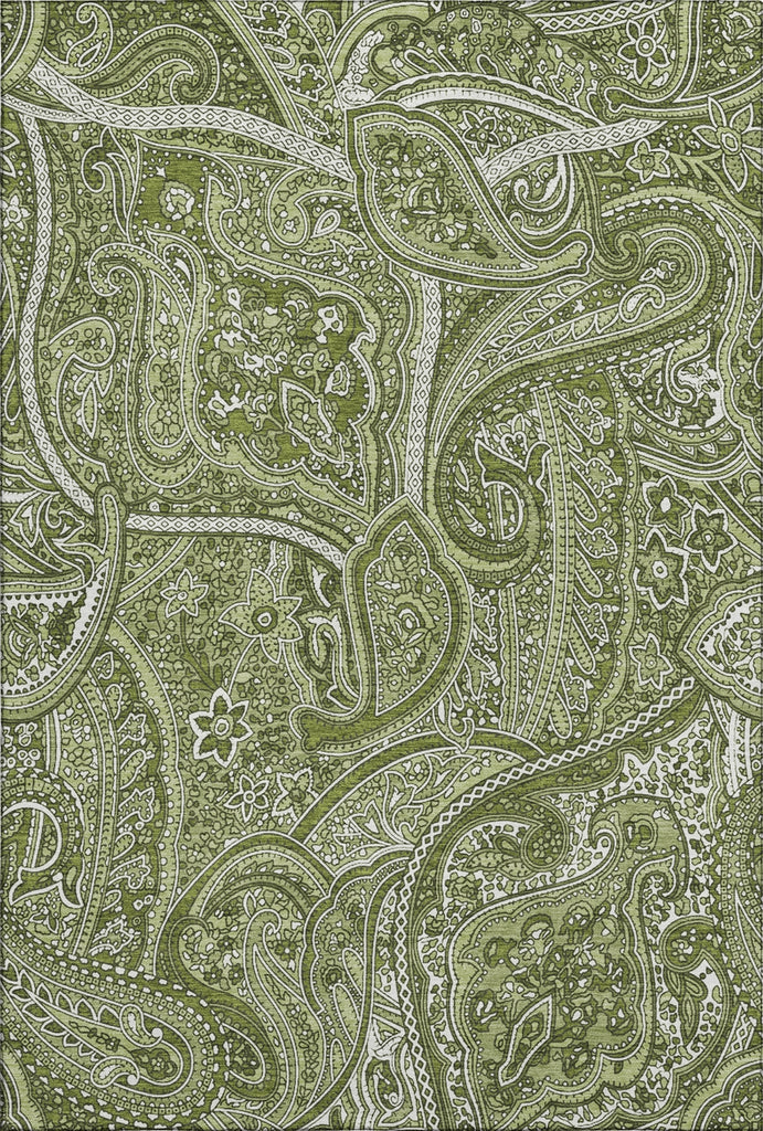 Piper Looms Mayfield Paisley AMF623 Green Machine Washable Area Rug main image