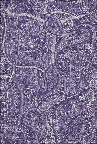 Piper Looms Mayfield Paisley AMF623 Purple Machine Washable Area Rug main image
