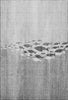 Piper Looms Mayfield Nautical AMF627 Gray Machine Washable Area Rug main image