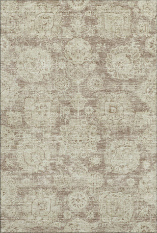 Piper Looms Mayfield Floral AMF634 Mocha Machine Washable Area Rug main image