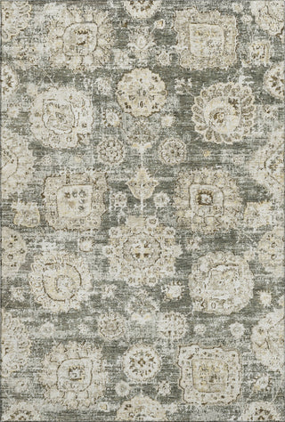Piper Looms Mayfield Floral AMF634 Taupe Machine Washable Area Rug main image
