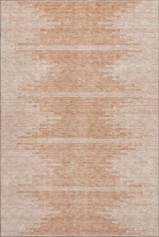 Piper Looms Mayfield Modern AMF647 Salmon Machine Washable Area Rug main image