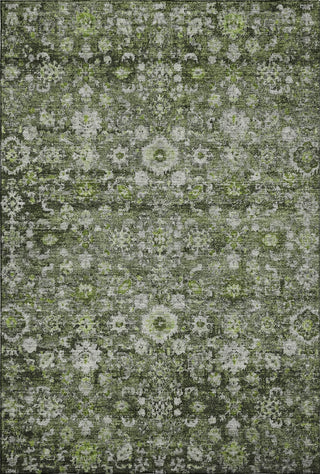 Piper Looms Mayfield Oriental AMF651 Green Machine Washable Area Rug main image