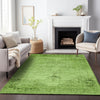 Piper Looms Mayfield Oriental AMF658 Aloe Machine Washable Area Rug Lifestyle Image Feature