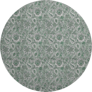 Piper Looms Mayfield Floral AMF661 Sage Machine Washable Area Rug Round Main Image