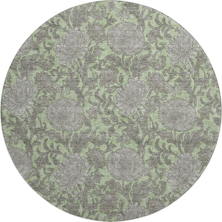 Piper Looms Mayfield Floral AMF677 Aloe Machine Washable Area Rug Round Main Image