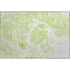 Piper Looms Mayfield Modern AMF682 Aloe Machine Washable Area Rug Scatter Main Image
