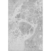 Piper Looms Mayfield Modern AMF682 Gray Machine Washable Area Rug main image