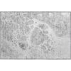 Piper Looms Mayfield Modern AMF682 Gray Machine Washable Area Rug Scatter Main Image