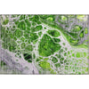 Piper Looms Mayfield Modern AMF682 Lime Machine Washable Area Rug Scatter Main Image
