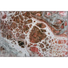 Piper Looms Mayfield Modern AMF682 Paprika Machine Washable Area Rug Scatter Main Image