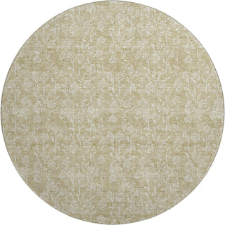 Piper Looms Mayfield Floral AMF691 Beige Machine Washable Area Rug Round Main Image