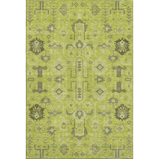 Piper Looms Mayfield Oriental AMF697 Aloe Machine Washable Area Rug main image