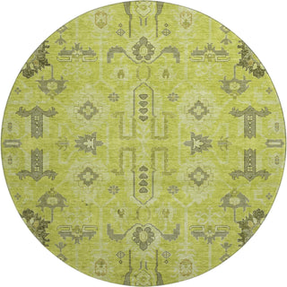 Piper Looms Mayfield Oriental AMF697 Aloe Machine Washable Area Rug Round Main Image