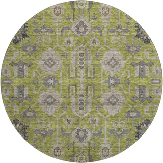 Piper Looms Mayfield Oriental AMF697 Olive Machine Washable Area Rug Round Main Image