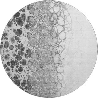 Piper Looms Mayfield Abstract AMF707 Gray Machine Washable Area Rug Round Main Image