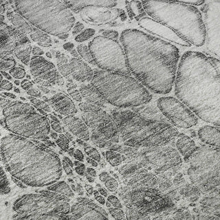 Piper Looms Mayfield Abstract AMF707 Gray Machine Washable Area Rug Swatch Image