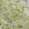 Piper Looms Mayfield Abstract AMF707 Olive Machine Washable Area Rug Swatch Image