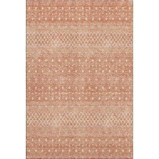 Piper Looms Mayfield Boho AMF709 Salmon Machine Washable Area Rug main image