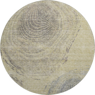 Piper Looms Mayfield Woodgrain AMF713 Beige Machine Washable Area Rug Round Main Image