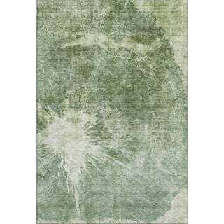 Piper Looms Mayfield Abstract AMF719 Fern Machine Washable Area Rug main image