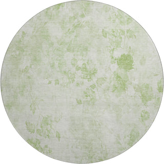 Piper Looms Mayfield Floral AMF724 Aloe Machine Washable Area Rug Round Main Image