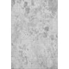 Piper Looms Mayfield Floral AMF724 Gray Machine Washable Area Rug main image