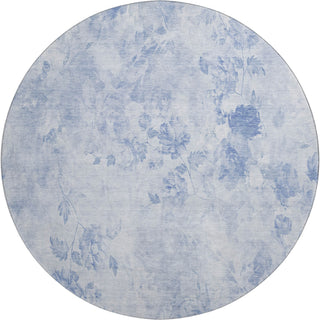 Piper Looms Mayfield Floral AMF724 Sky Machine Washable Area Rug Round Main Image