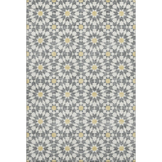 Piper Looms Mayfield Spiral AMF734 Gray Machine Washable Area Rug main image