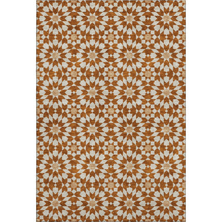 Piper Looms Mayfield Spiral AMF734 Paprika Machine Washable Area Rug main image
