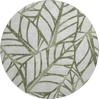 Piper Looms Mayfield Floral AMF741 Olive Machine Washable Area Rug Round Main Image