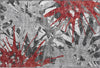 Piper Looms Mayfield Tropical AMF77 Red Machine Washable Area Rug Scatter Main Image